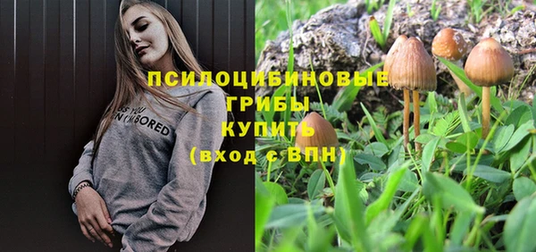 винт Володарск