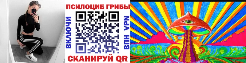 omg ссылка  Жирновск  Галлюциногенные грибы Magic Shrooms 