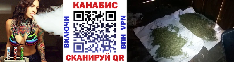 блэк спрут tor  Жирновск  МАРИХУАНА сатива 
